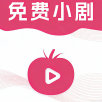 黄色软件下载入口APP应用